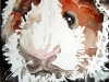 dscf0963
