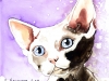 liddicoat-scan-4