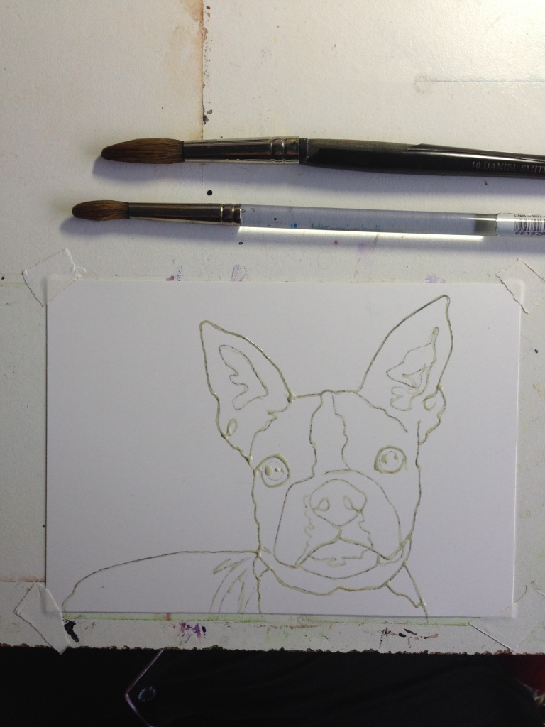 Boston Terrier