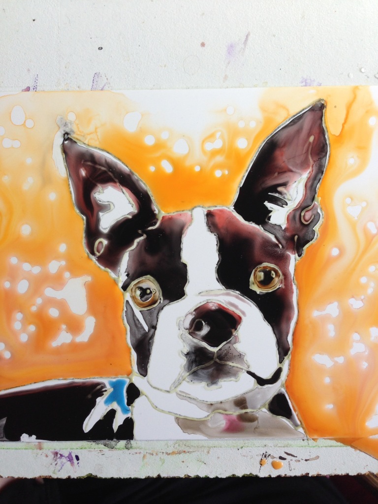 Boston Terrier