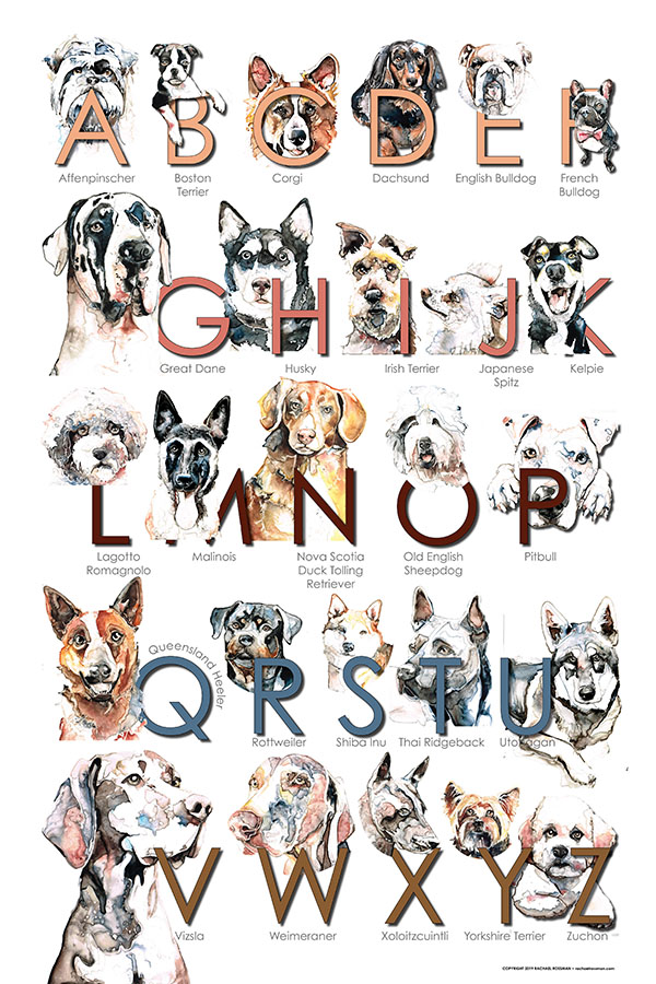 Dog Alphabet small for web